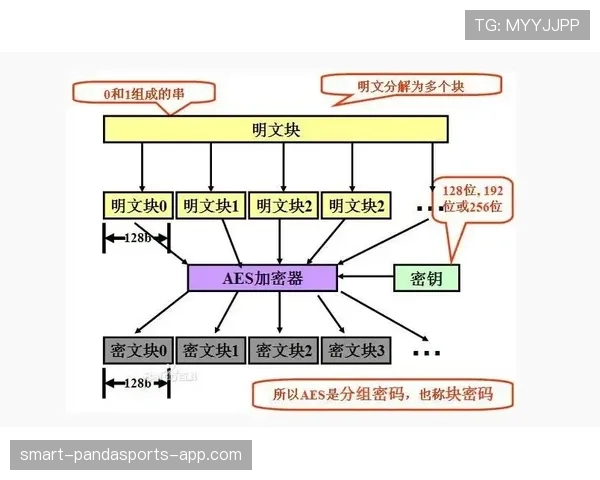 萨卡为何能持续高光？稳定性背后的机制解析